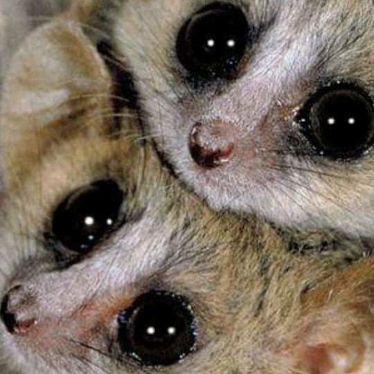 cropped-received_539905376719909-2.jpeg